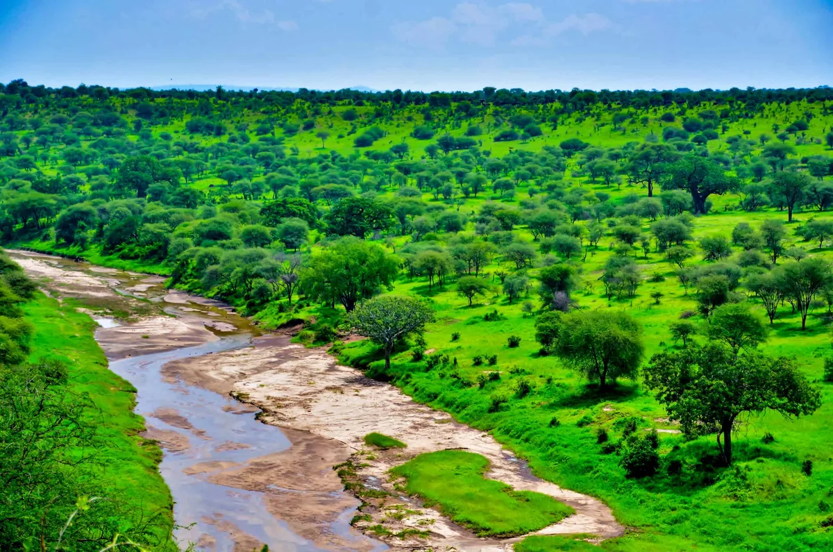 Tarangire River
