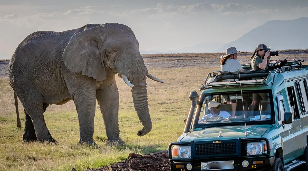 Game drive