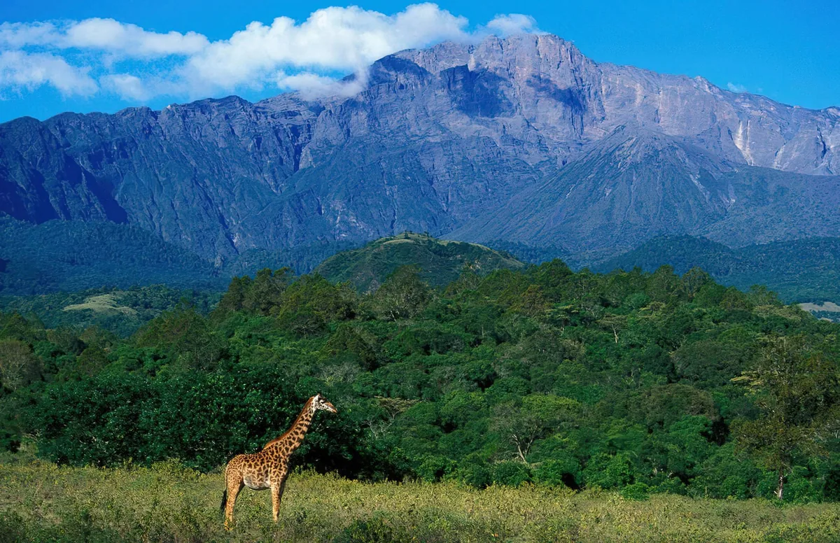 Mount Meru