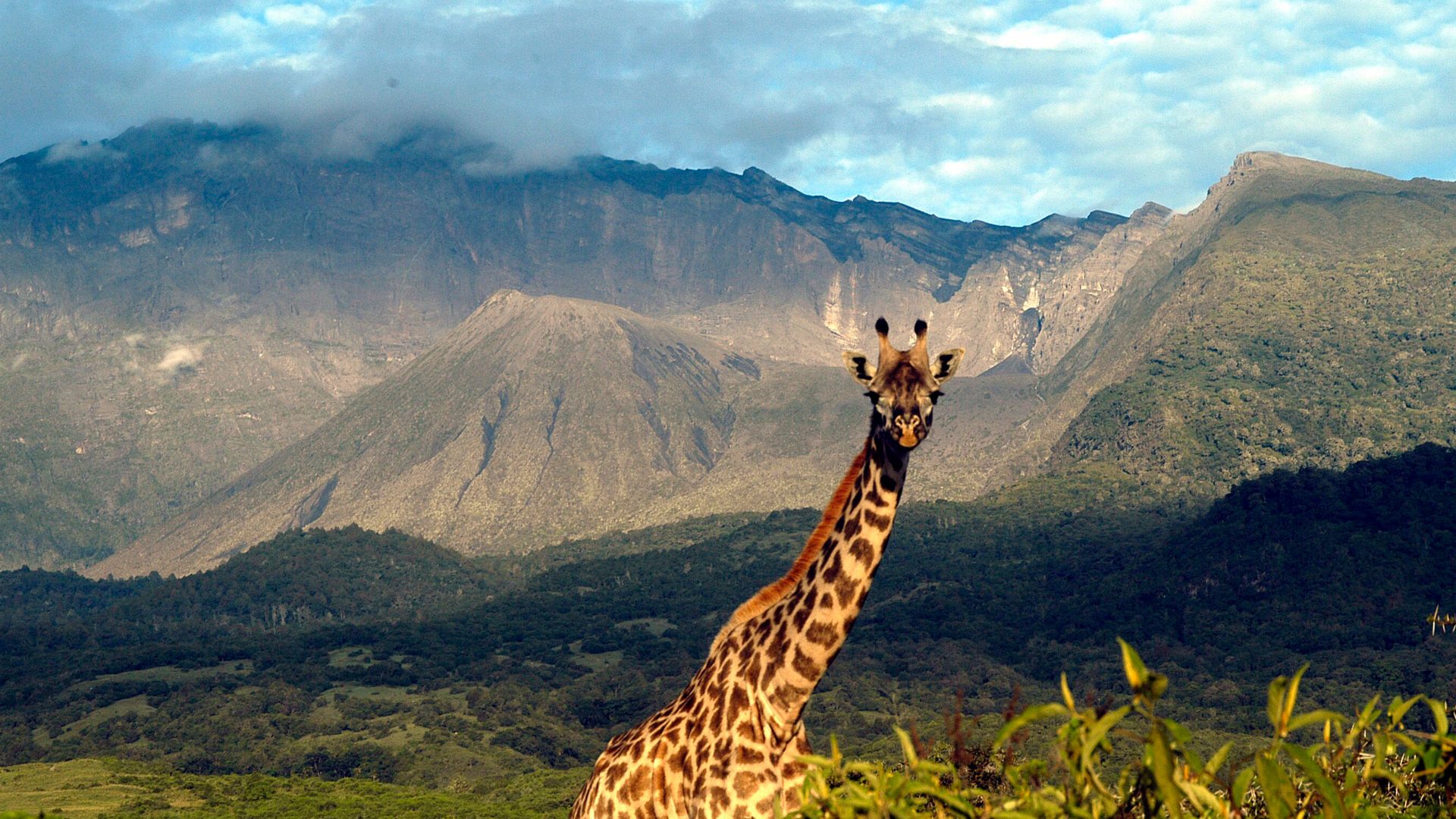 Arusha National Park wildlife