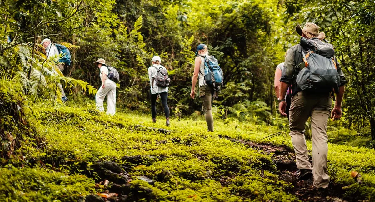 Walking safari