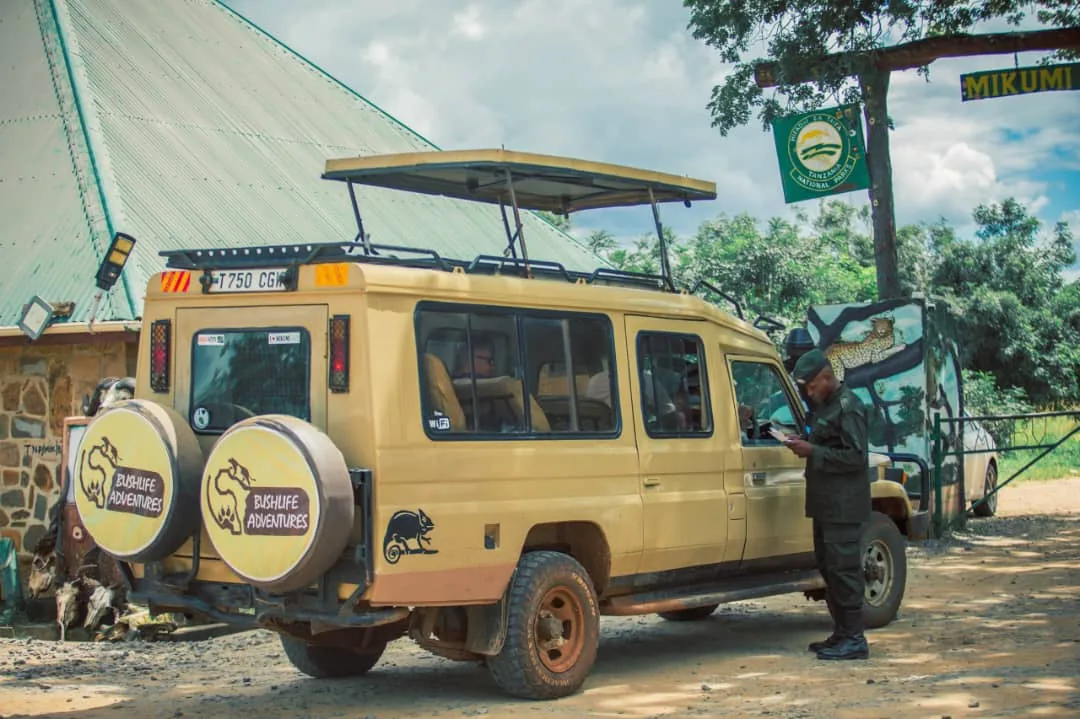 Bushlife Adventures  classic safari experience