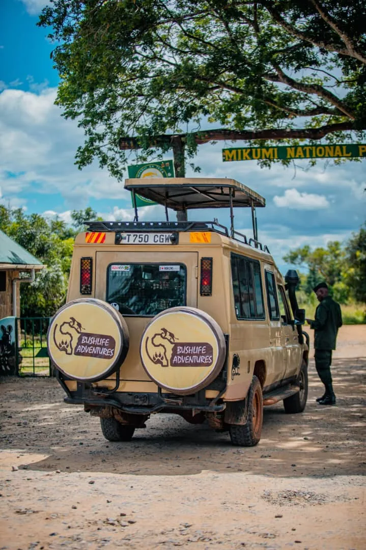 Tanzania Safari Adventure
