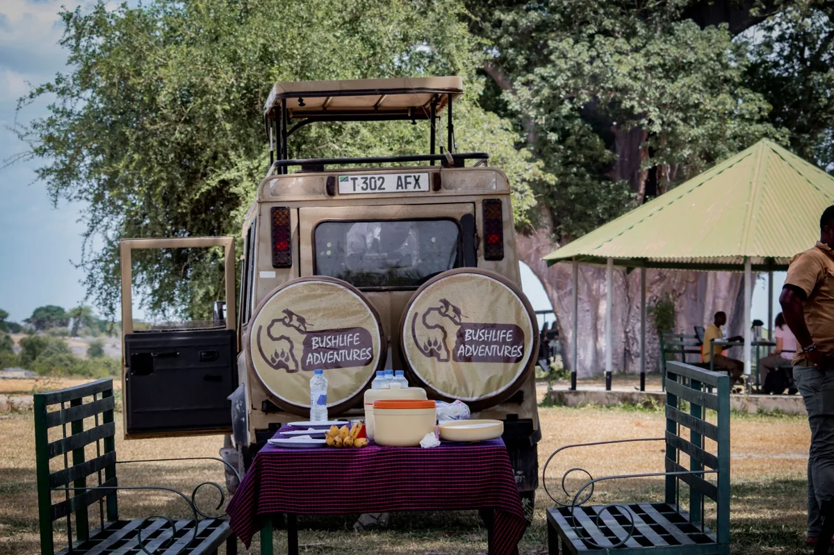 Bushlife Adventures  classic safari experience
