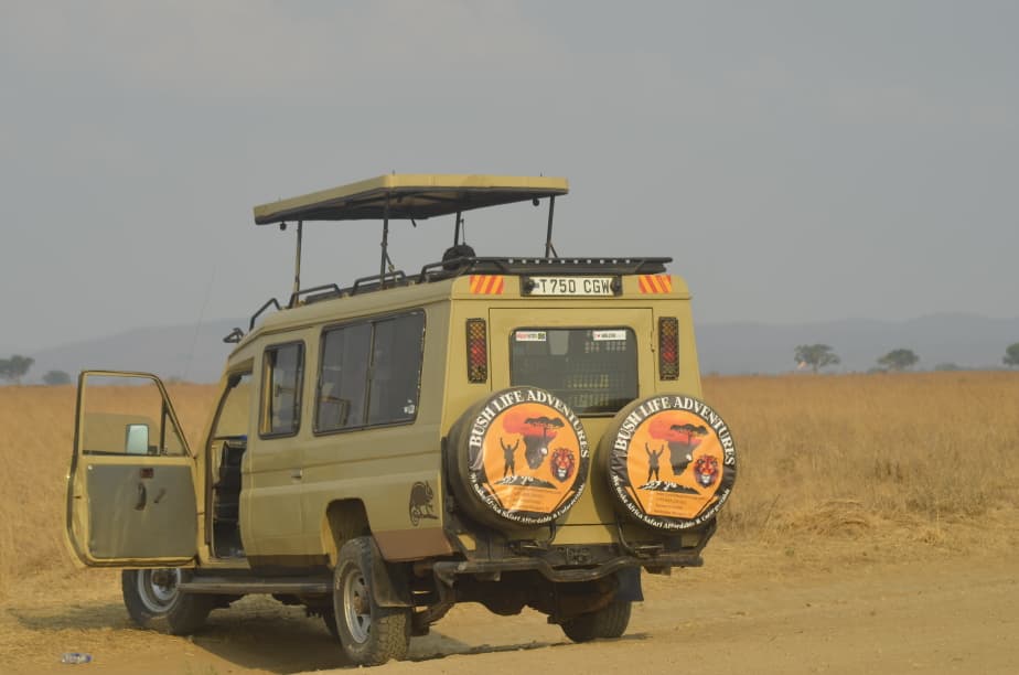 Tanzania Safari Adventure