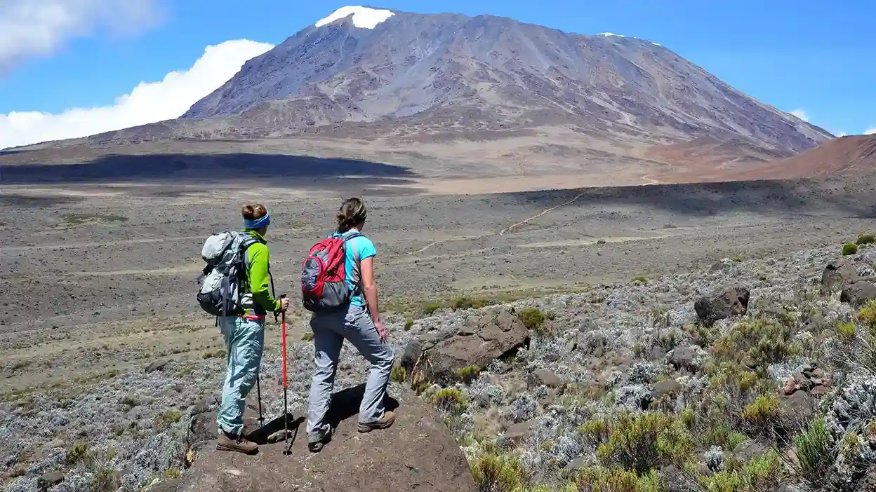 Kilimanjaro honeymoon and safari — hiking the Shira Plateau on the way to the summit