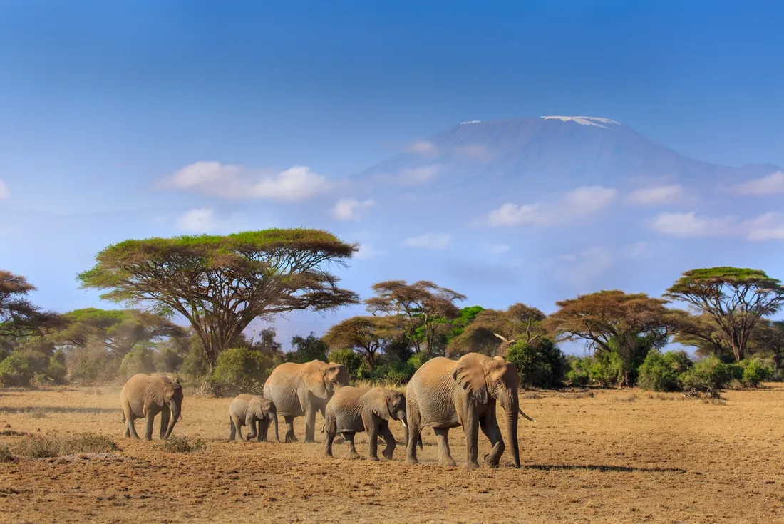 Kilimanjaro honeymoon packages — private trekking for couples in Tanzania