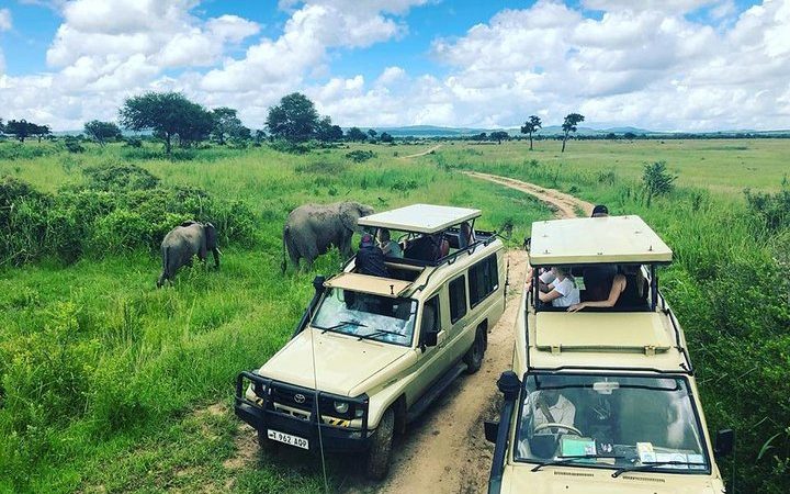 Game Drive at Mikumi