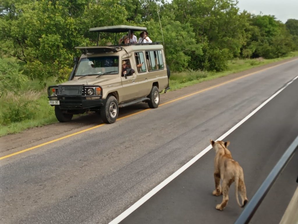 Driving to Mikumi National Park