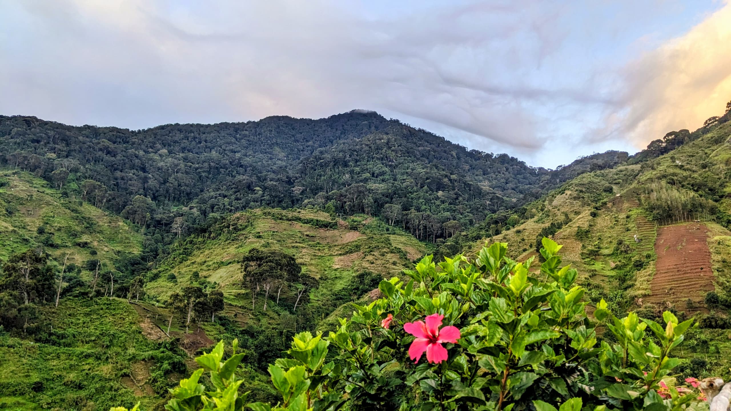 Bondwa Peak Hiking Tour in Uluguru Mountains