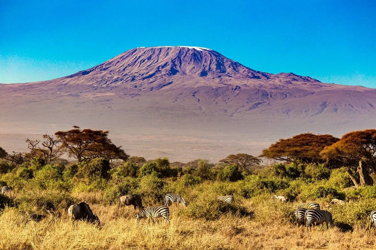 Kilimanjaro honeymoon trekking packages overview