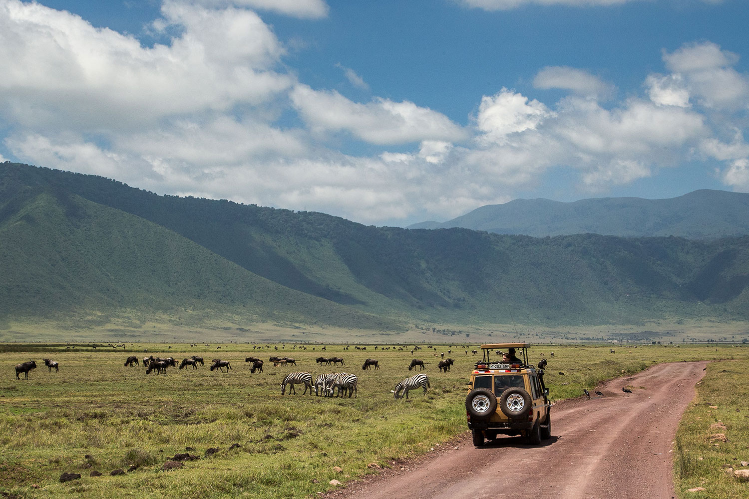 Big Five in crater