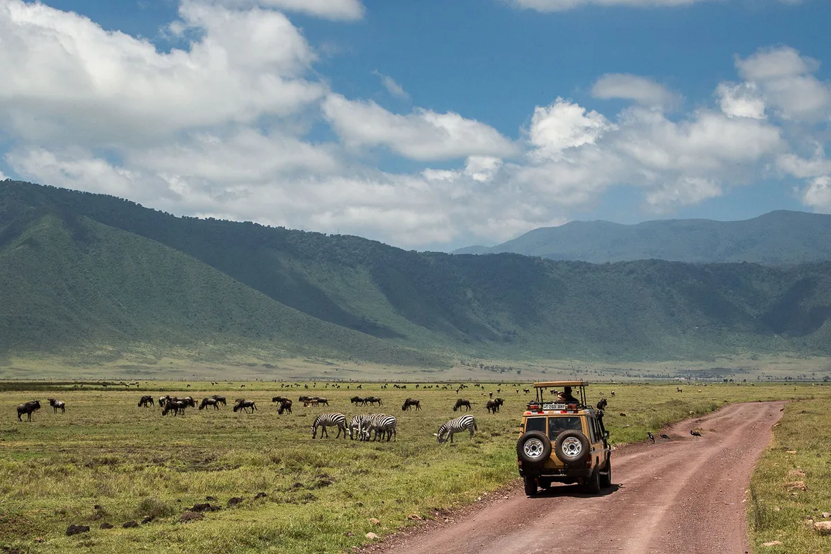 Big Five in crater