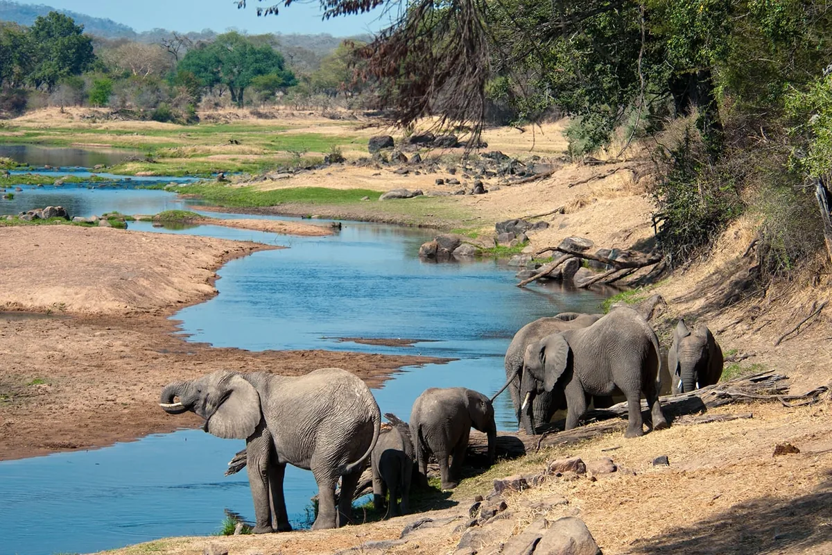 Private Safari Vehicle Tanzania