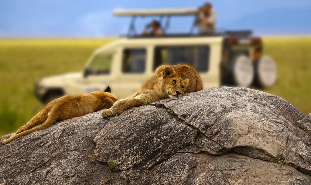 Selous River Safari