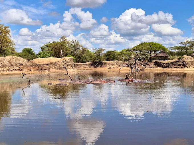 Tanzania Honeymoon Safaris