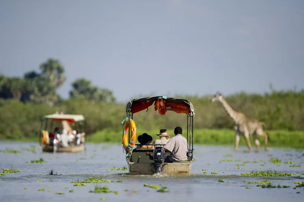 Tanzania Private Safaris