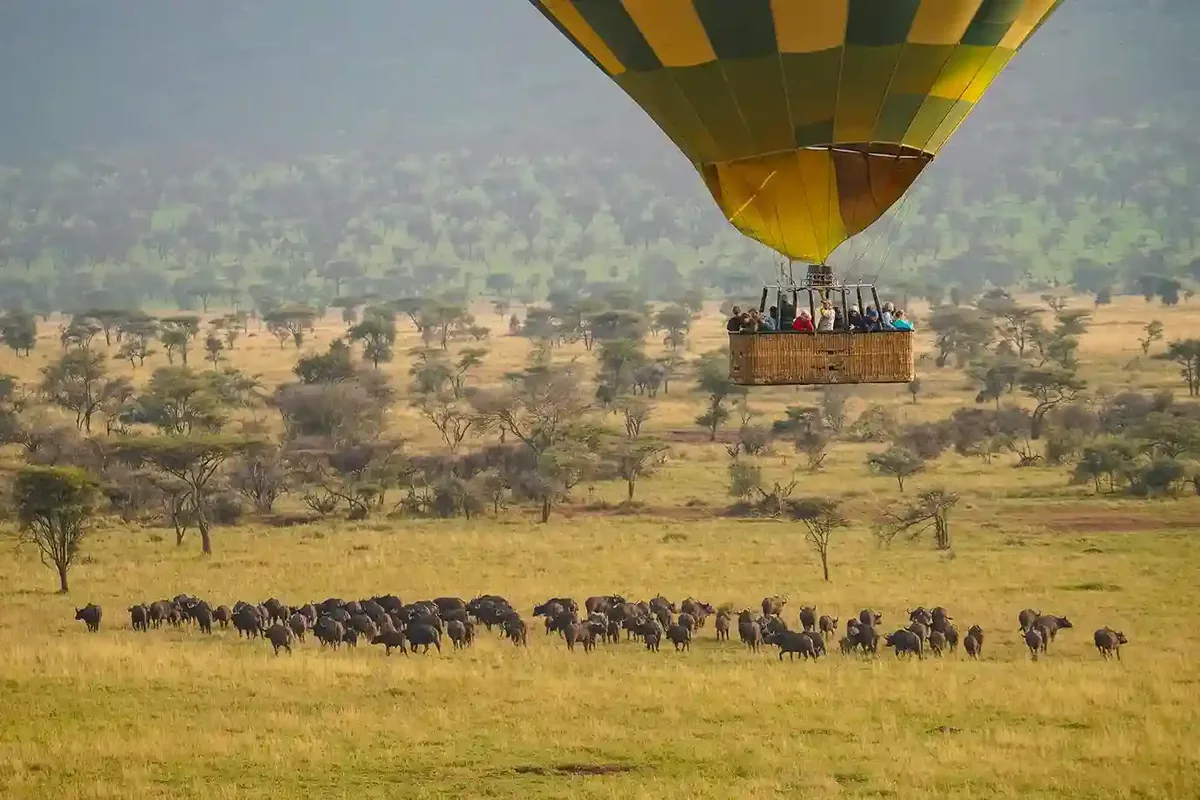 Serengeti sunset over the river — the kind of view a balloon safari reveals at dawn