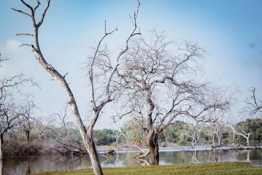 Serengeti National Park romantic safari