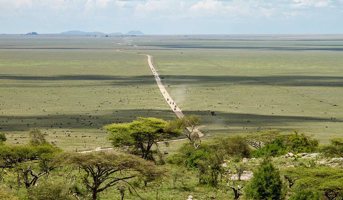 Serengeti plains