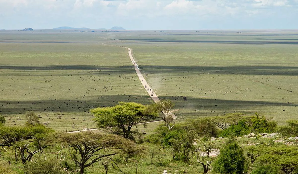 Serengeti plains