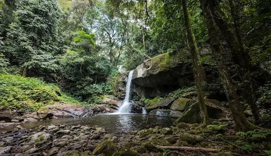 Udzungwa Mountains