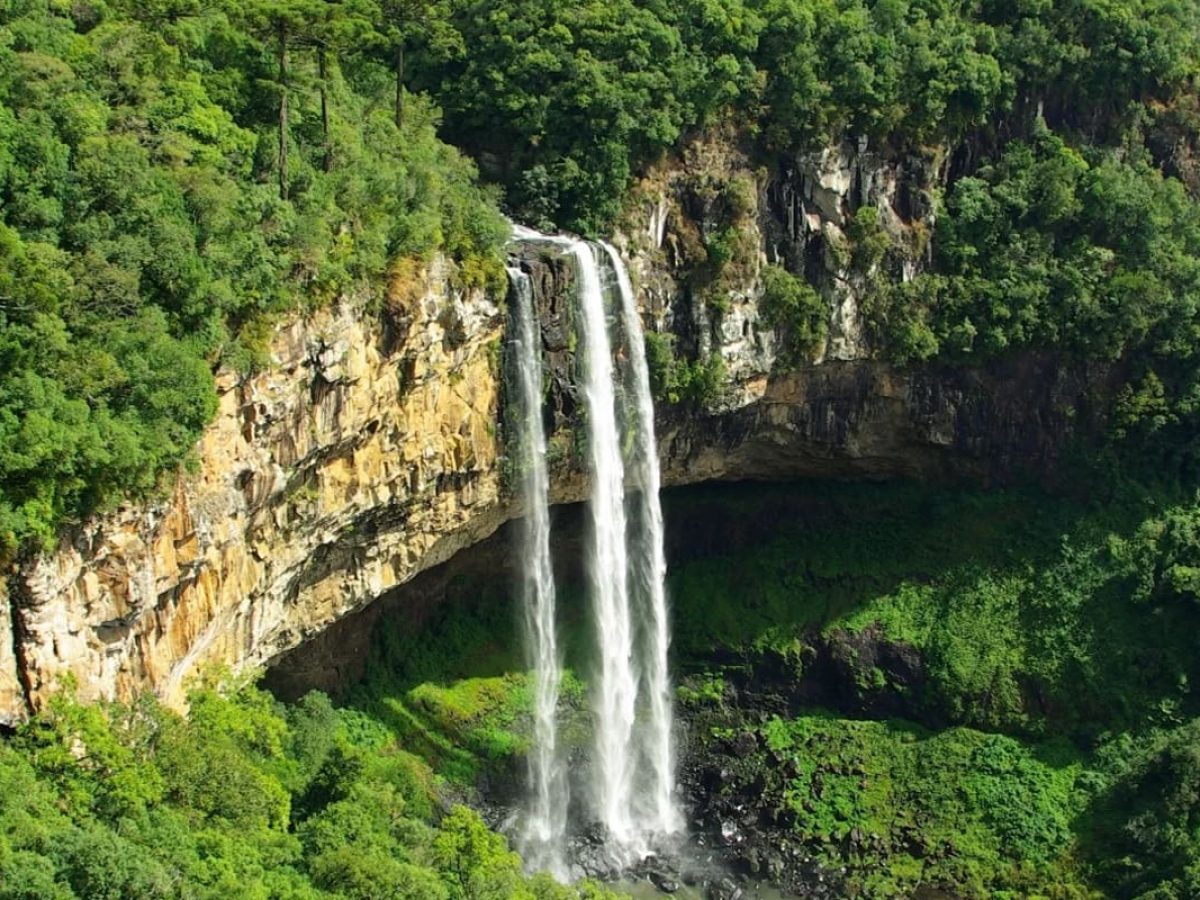 Udzungwa Nature Escape