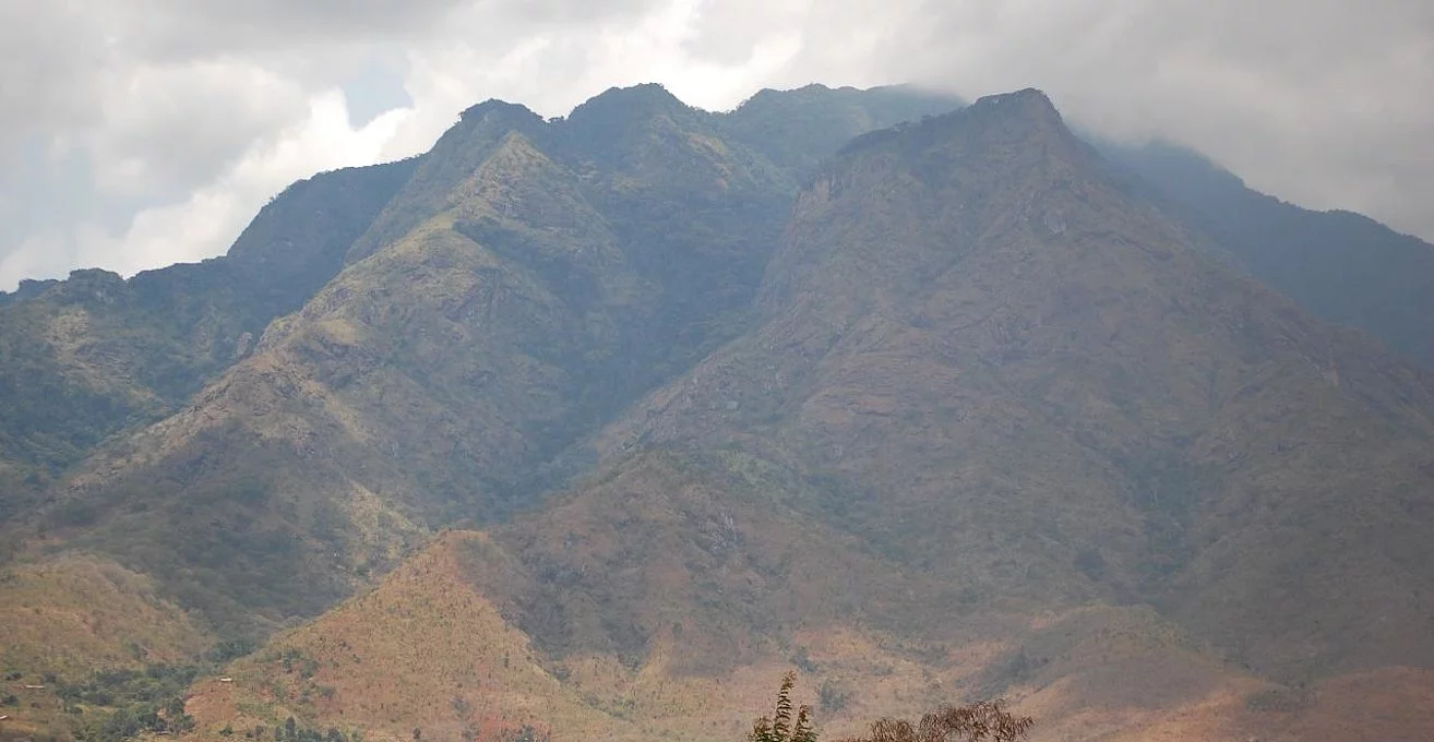 Udzungwa Hiking Expedition